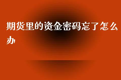 期货里的资金密码忘了怎么办_https://wap.letulww.com_投资管理_第1张