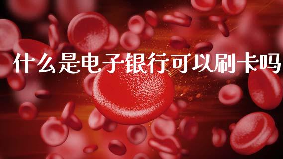 什么是电子银行可以刷卡吗_https://wap.letulww.com_投资管理_第1张