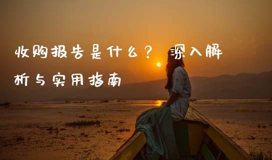 收购报告是什么？ 深入解析与实用指南_https://wap.letulww.com_融资租赁_第1张