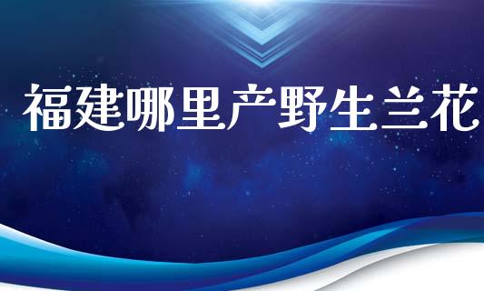 福建哪里产野生兰花_https://wap.letulww.com_投资策略_第1张