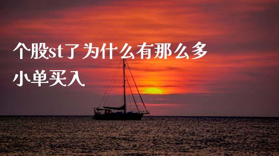 个股st了为什么有那么多小单买入_https://wap.letulww.com_投资策略_第1张