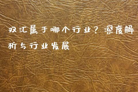 双汇属于哪个行业？深度解析与行业发展_https://wap.letulww.com_投资策略_第1张