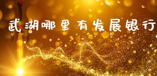 武湖哪里有发展银行_https://wap.letulww.com_外汇交易_第1张