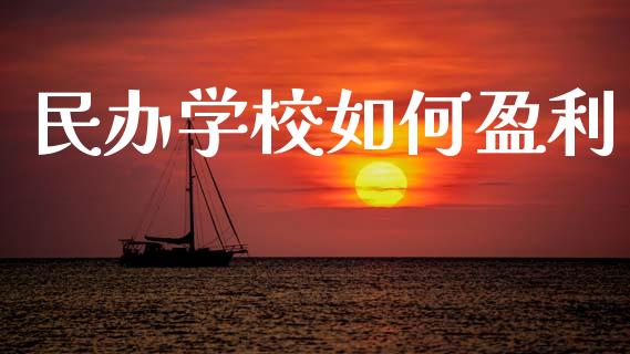 民办学校如何盈利_https://wap.letulww.com_投资策略_第1张