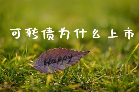 可转债为什么上市_https://wap.letulww.com_融资租赁_第1张