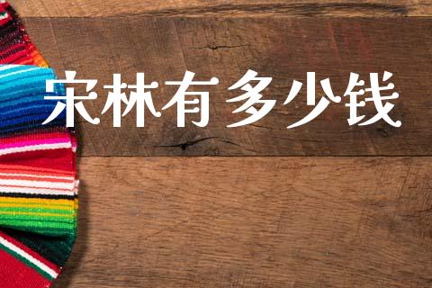 宋林有多少钱_https://wap.letulww.com_投资策略_第1张