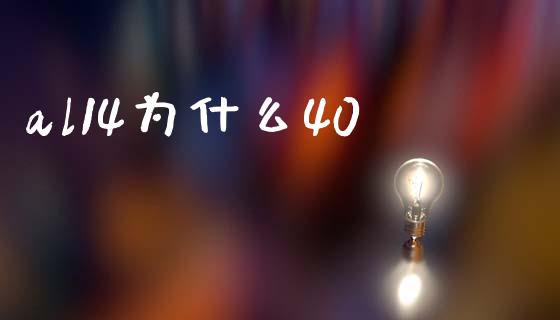 al14为什么40_https://wap.letulww.com_融资租赁_第1张