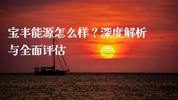 宝丰能源怎么样？深度解析与全面评估_https://wap.letulww.com_投资管理_第1张