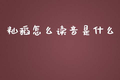 籼稻怎么读音是什么_https://wap.letulww.com_投资管理_第1张
