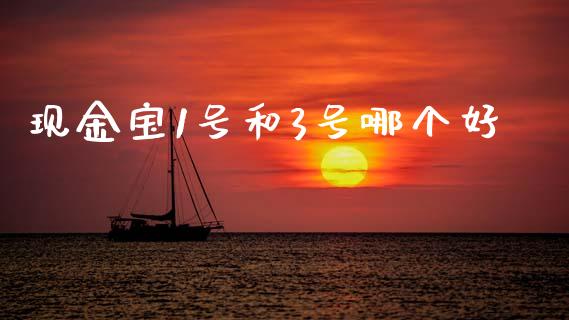 现金宝1号和3号哪个好_https://wap.letulww.com_投资策略_第1张