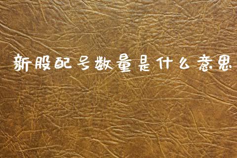 新股配号数量是什么意思_https://wap.letulww.com_外汇交易_第1张
