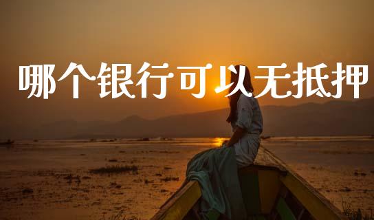 哪个银行可以无抵押_https://wap.letulww.com_投资策略_第1张