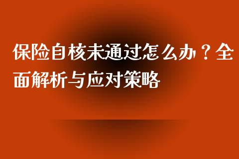 保险自核未通过怎么办？全面解析与应对策略_https://wap.letulww.com_融资租赁_第1张