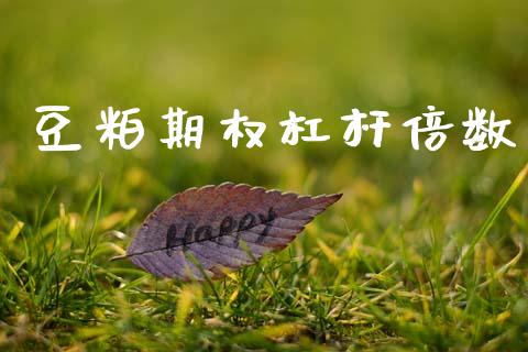 豆粕期权杠杆倍数_https://wap.letulww.com_投资管理_第1张