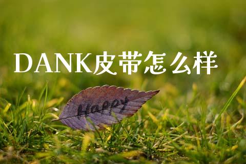 DANK皮带怎么样_https://wap.letulww.com_投资策略_第1张