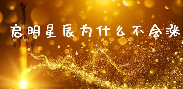 启明星辰为什么不会涨_https://wap.letulww.com_投资管理_第1张