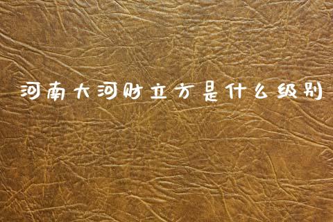 河南大河财立方是什么级别_https://wap.letulww.com_投资管理_第1张