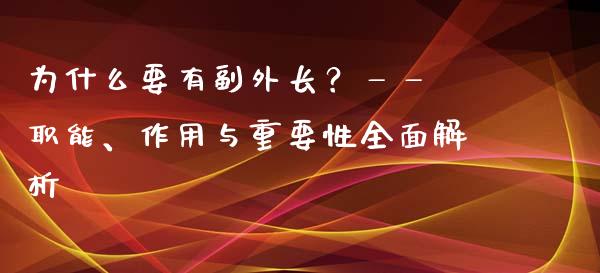 为什么要有副外长？—— 职能、作用与重要性全面解析_https://wap.letulww.com_投资策略_第1张
