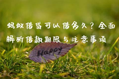 蚂蚁借贷可以借多久？全面解析借款期限与注意事项_https://wap.letulww.com_投资策略_第1张