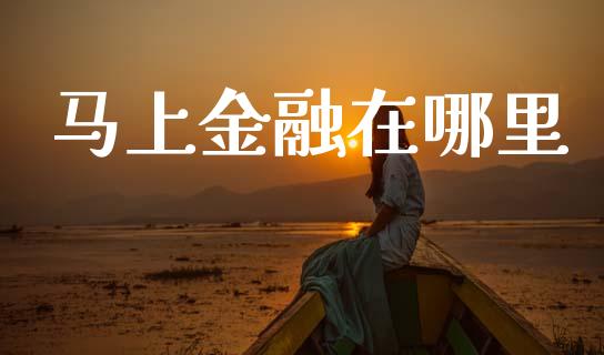 马上金融在哪里_https://wap.letulww.com_外汇交易_第1张