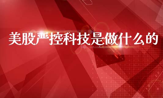 美股严控科技是做什么的_投资管理_第1张_外汇交易_投资策略_融资租赁_投资管理 美股严控科技是做什么的_https://wap.letulww.com_投资管理_第1张