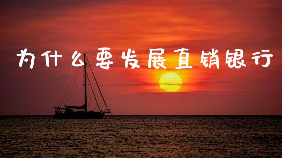 为什么要发展直销银行_https://wap.letulww.com_投资管理_第1张