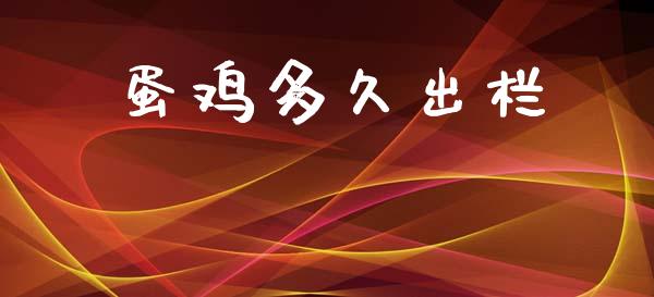 蛋鸡多久出栏_https://wap.letulww.com_投资管理_第1张