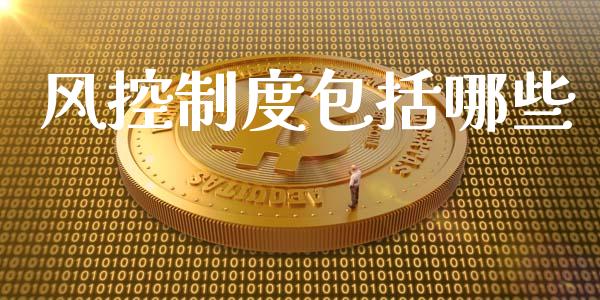 风控制度包括哪些_https://wap.letulww.com_融资租赁_第1张