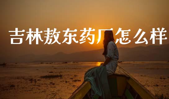 吉林敖东药厂怎么样_https://wap.letulww.com_投资策略_第1张
