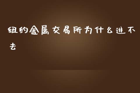 纽约金属交易所为什么进不去_https://wap.letulww.com_融资租赁_第1张