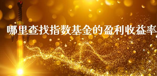 哪里查找指数基金的盈利收益率_https://wap.letulww.com_投资管理_第1张