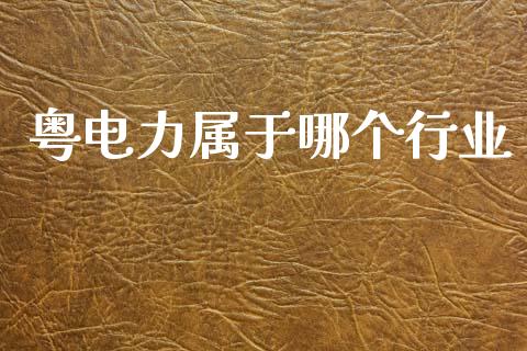 粤电力属于哪个行业_https://wap.letulww.com_投资管理_第1张