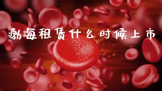 渤海租赁什么时候上市_https://wap.letulww.com_融资租赁_第1张