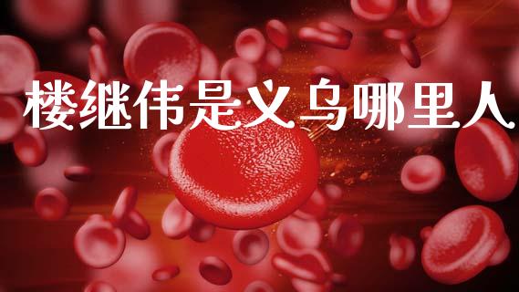 楼继伟是义乌哪里人_https://wap.letulww.com_外汇交易_第1张