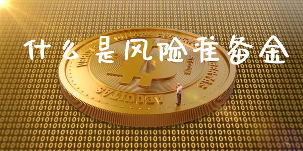 什么是风险准备金_https://wap.letulww.com_投资策略_第1张