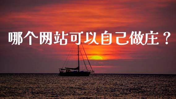 哪个网站可以自己做庄？_https://wap.letulww.com_投资管理_第1张