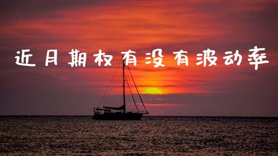 近月期权有没有波动率_https://wap.letulww.com_投资管理_第1张