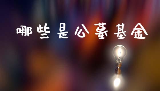 哪些是公墓基金_https://wap.letulww.com_外汇交易_第1张