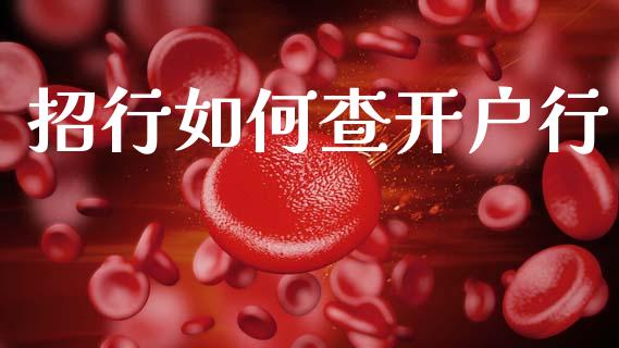 招行如何查开户行_https://wap.letulww.com_外汇交易_第1张