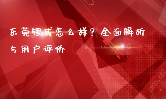 东莞锂威怎么样？全面解析与用户评价_https://wap.letulww.com_投资管理_第1张