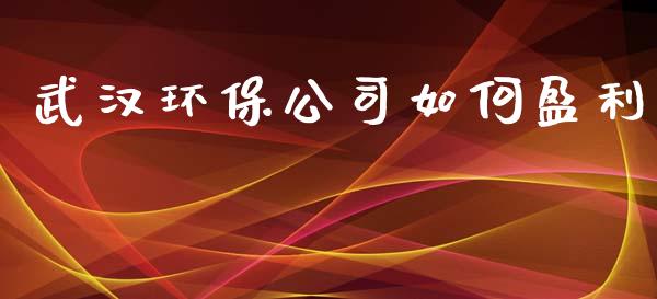 武汉环保公司如何盈利_https://wap.letulww.com_融资租赁_第1张