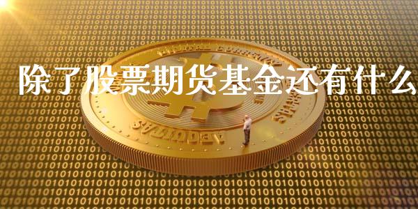 除了股票期货基金还有什么_https://wap.letulww.com_外汇交易_第1张