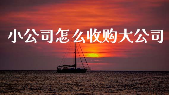 小公司怎么收购大公司_https://wap.letulww.com_融资租赁_第1张
