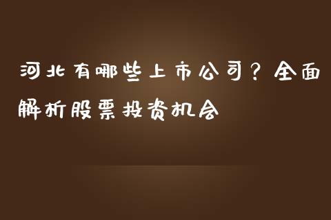河北有哪些上市公司？全面解析股票投资机会_https://wap.letulww.com_投资策略_第1张