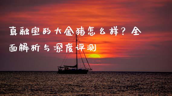 真融宝的大金猪怎么样？全面解析与深度评测_https://wap.letulww.com_外汇交易_第1张