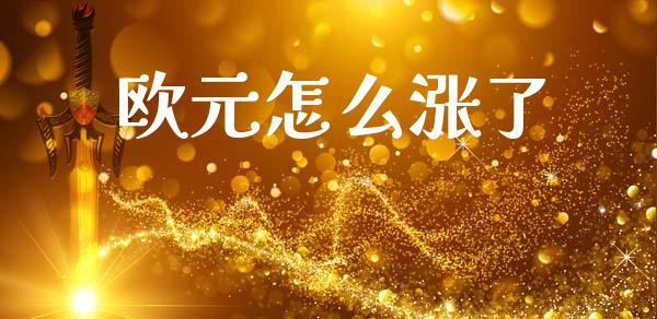 欧元怎么涨了_https://wap.letulww.com_投资策略_第1张