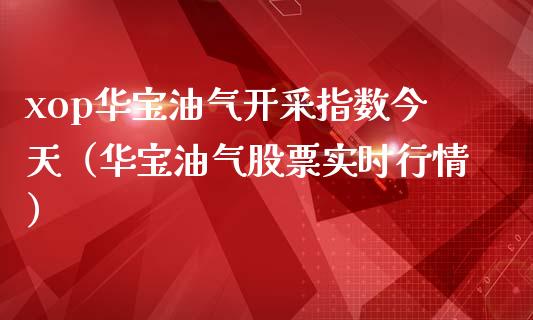 xop华宝油气开采指数今天(华宝油气股票实时行情)_外汇交易_第1张_外汇交易_投资策略_融资租赁_投资管理 xop华宝油气开采指数今天(华宝油气股票实时行情)_https://wap.letulww.com_外汇交易_第1张