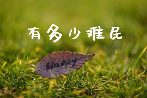 有多少难民_https://wap.letulww.com_投资策略_第1张
