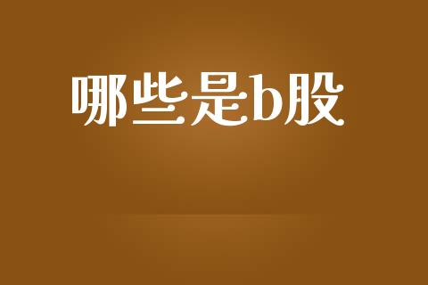 哪些是b股_https://wap.letulww.com_外汇交易_第1张
