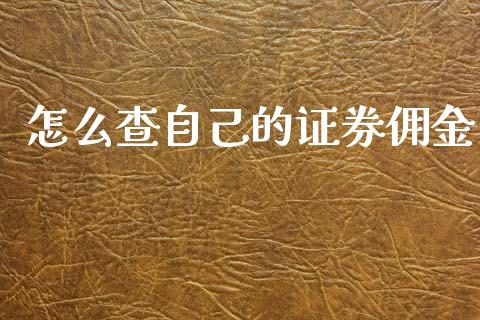 怎么查自己的证券佣金_https://wap.letulww.com_融资租赁_第1张